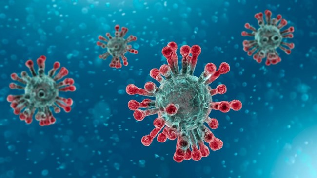 Virus SARS-CoV-2 tồn tại trong cơ thể con người nhiều tháng(28/12/2021)
